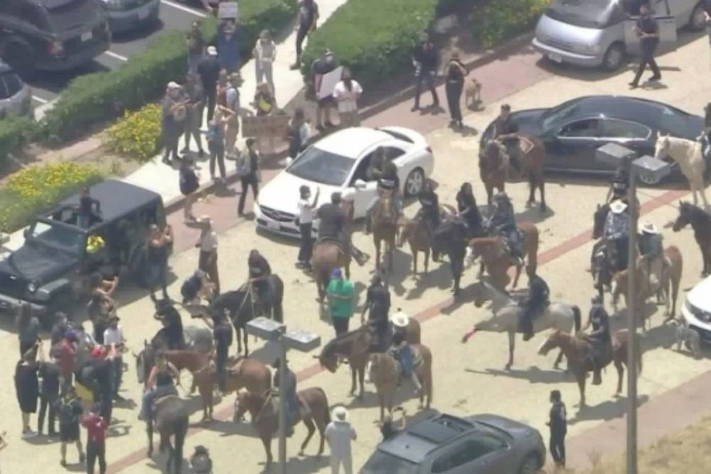 Мартин Лютер - На акцию протеста в Лос-Анджелесе прибыли ковбои на лошадях - mk.ru - США - Лос-Анджелес - шт. Калифорния
