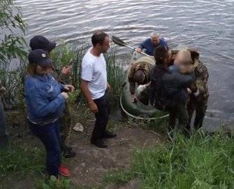 Следком Башкирии рассказал подробности поисков 6-летнего Ренеля Ганиева - ufacitynews.ru - Башкирия