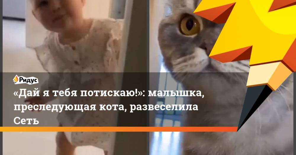 «Дай я тебя потискаю!»: малышка, преследующая кота, развеселила Сеть - ridus.ru