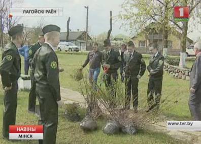 Более 400 гектаров леса появилось в этом году в Минской области благодаря школьным лесничествам - tvr.by - район Логойский