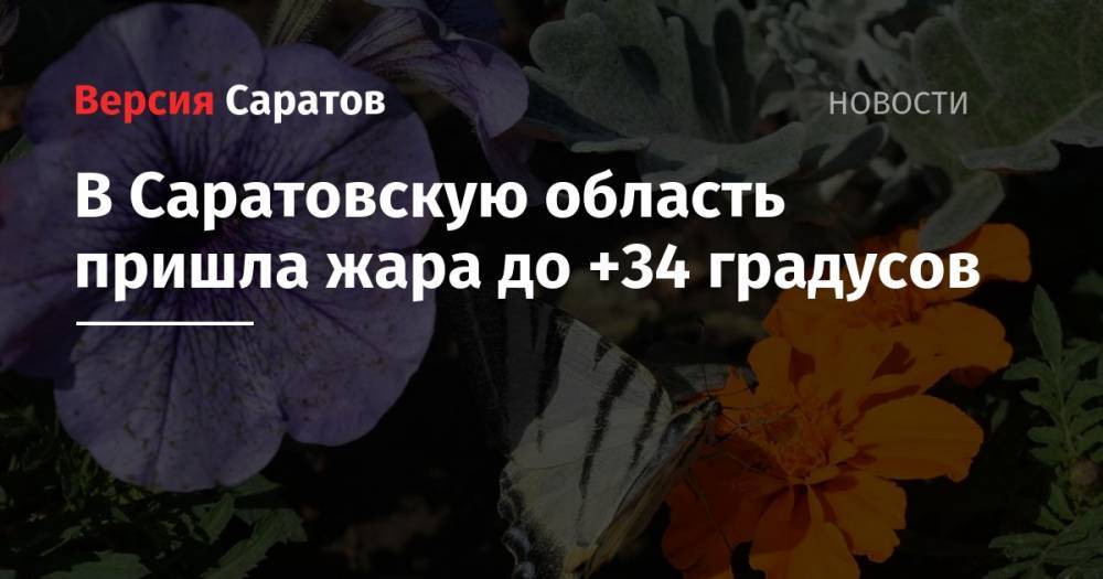 В Саратовскую область пришла жара до +34 градусов - nversia.ru - Саратовская обл. - Саратов