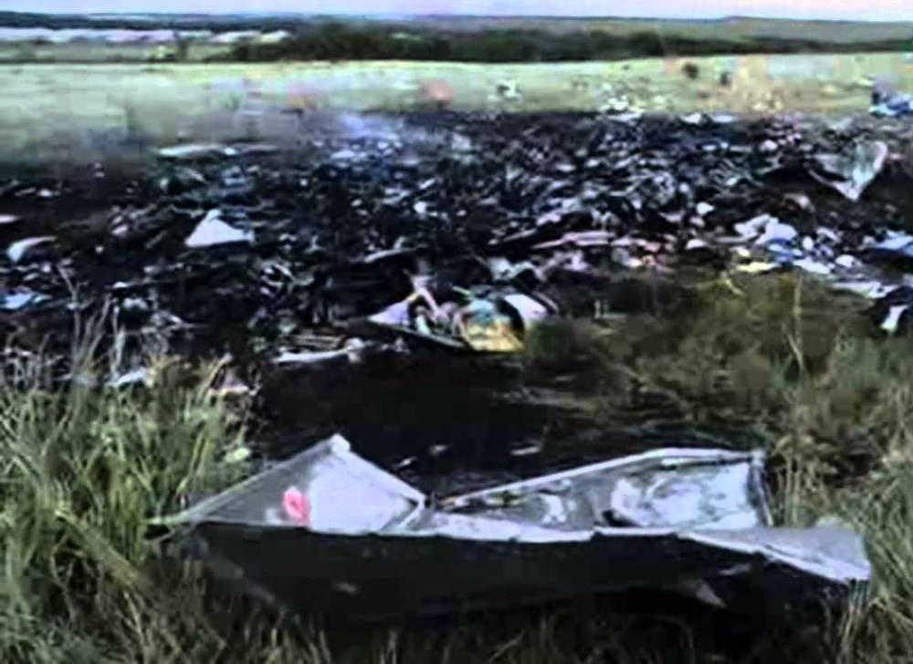 Опубликовано новое видео с очевидцами крушения MH17 - vm.ru - Украина - Малайзия - деревня Верффа