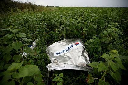 Стало известно о новых свидетелях в деле Boeing MH17 - lenta.ru - Гаага - Дебальцево - Донецкая обл.