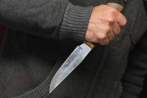 Мужчина зарезал родную сестру и двух квартирантов, также нанес ножевые ранение своей матери - mignews.com.ua - Киевская обл.