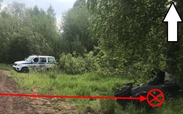 Дерево и опора ЛЭП помешали водителям Коми на дороге - bnkomi.ru - респ. Коми - Сыктывкар