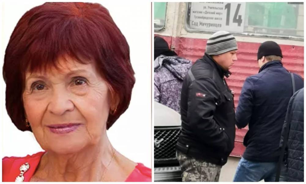 Погибшую пенсионерку обвинили в том, что она устроила смертельное ДТП - gubdaily.ru - Новосибирск
