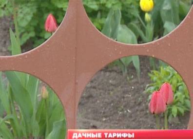 Почему дача стала дорогим удовольствием? - tvr.by