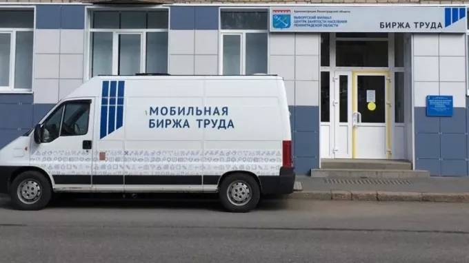 Безработные и самозанятые в Выборгском районе получили выплаты - piter.tv - Ленинградская обл. - р-н Выборгский - Выборг