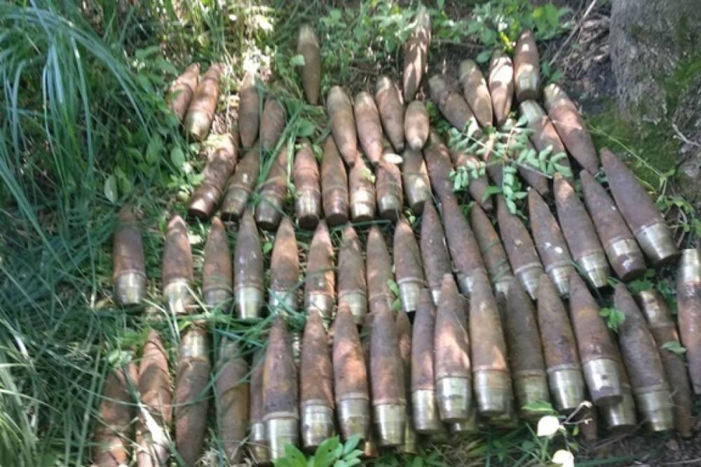 Под Винницей в парке обнаружили более 700 снарядов времен Второй Мировой войны - newsone.ua - Украина - Луганская обл. - Винницкая обл.