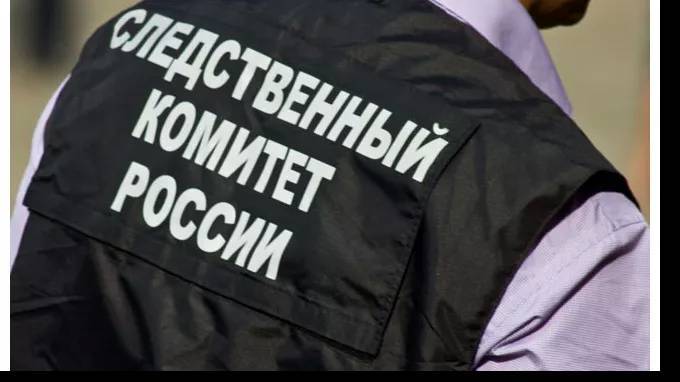 Следственный комитет Петербурга заинтересовался избитым на площадке мальчиком - piter.tv - Россия - Санкт-Петербург - Следственный Комитет