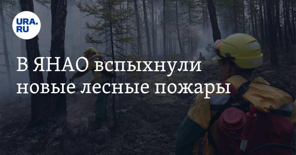 В ЯНАО вспыхнули новые лесные пожары - ura.news - окр. Янао