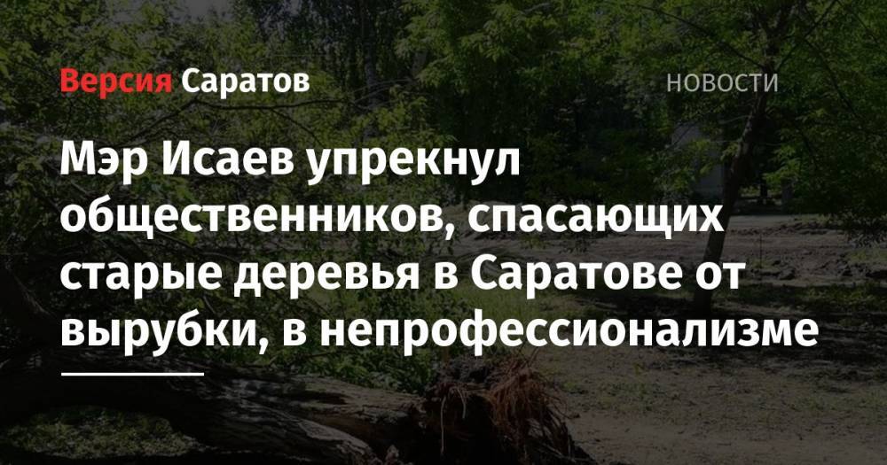 Михаил Исаев - Мэр Исаев упрекнул общественников, спасающих старые деревья в Саратове от вырубки, в непрофессионализме - nversia.ru - Саратов