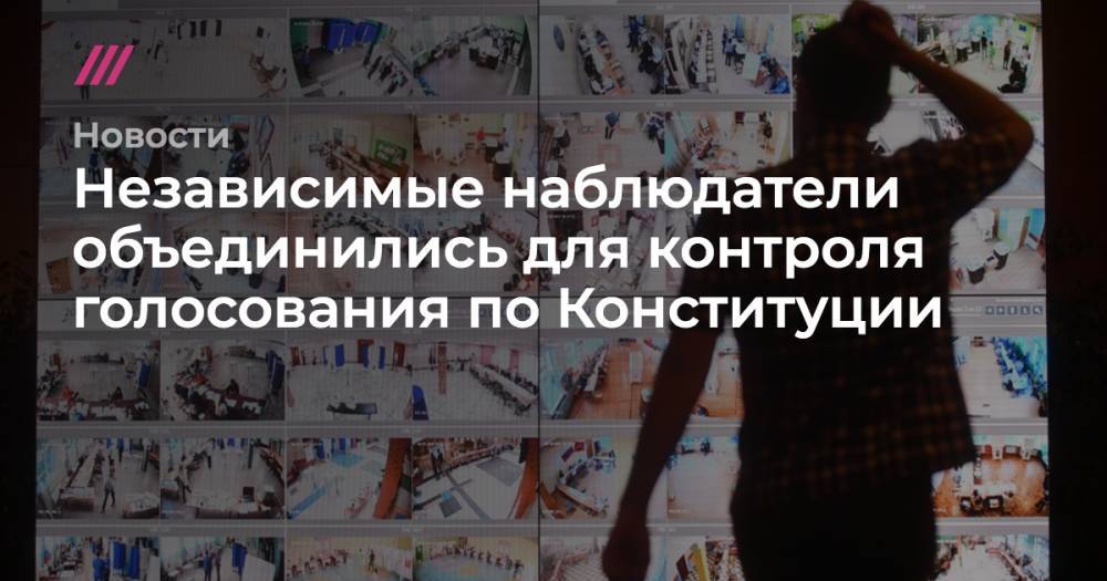 Сергей Киселев - Независимые наблюдатели объединились для контроля голосования по Конституции - tvrain.ru - Москва - Россия - Санкт-Петербург - респ. Татарстан