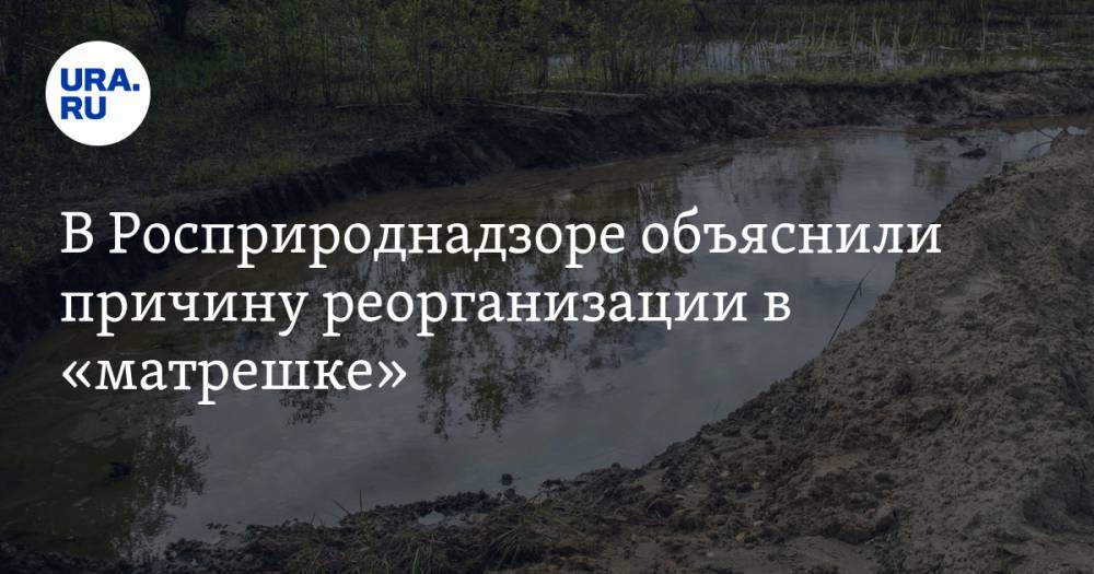 Светлана Радионова - В Росприроднадзоре объяснили причину реорганизации в «матрешке» - ura.news - Москва - Тюменская обл. - Югра - окр. Янао