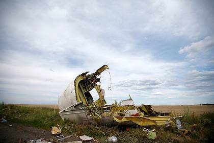 Хендрик Стинхейс - США отказались предоставлять информацию по делу Boeing MH17 - lenta.ru - Россия - США - Голландия