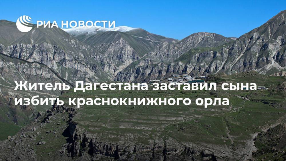 Житель Дагестана заставил сына избить краснокнижного орла - ria.ru - Махачкала - респ. Дагестан - Мурманская обл.