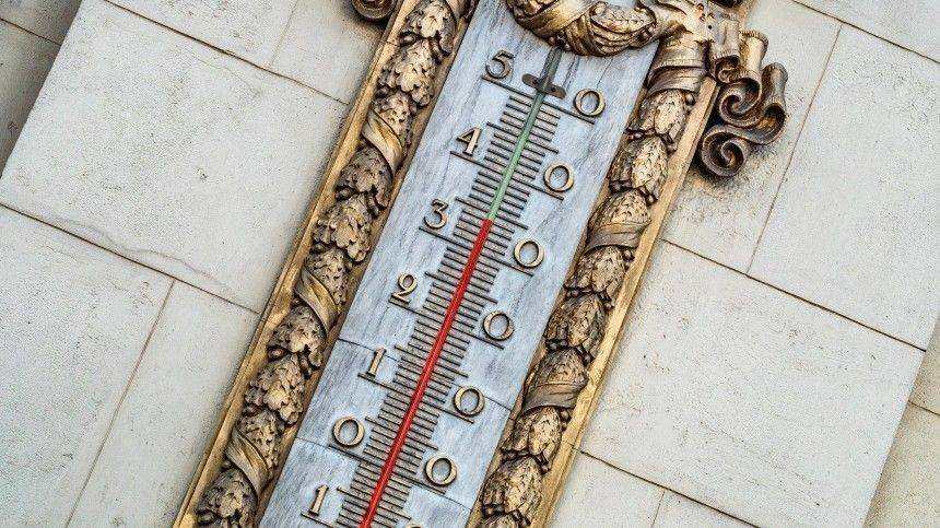 Роман Вильфанд - В каких регионах России ожидается 30-градусная жара? - 5-tv.ru - Россия - ЦФО - Вологодская обл. - Архангельская обл. - окр.Сзфо