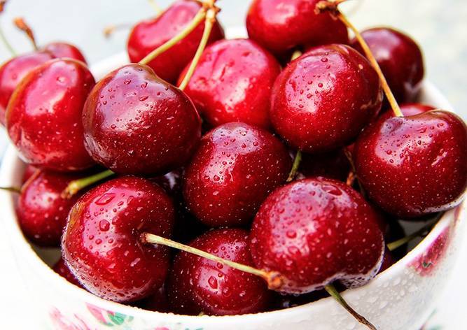 Где в Праге можно бесплатно собирать черешню - vinegret.cz - Чехия - Прага