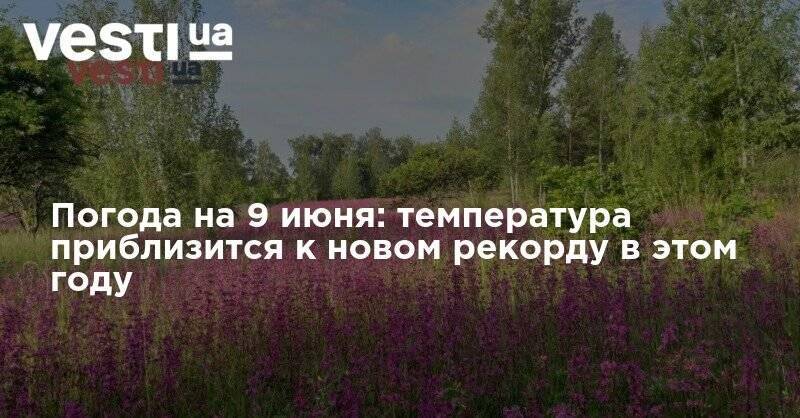 Наталья Диденко - Погода на 9 июня: температура приблизится к новом рекорду в этом году - vesti.ua - Украина - Киев
