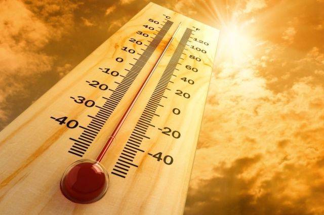 МЧС объявило экстренное предупреждение в Сочи из-за жары - aif.ru - Сочи