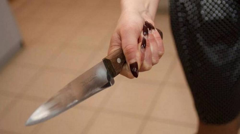 В Воронеже женщина ударила знакомую ножом в грудь - vestivrn.ru - Россия - Воронеж