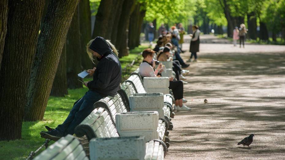 В Петербурге назвали районы — лидеры по числу лечащихся от COVID-19 дома - dp.ru - Санкт-Петербург - р-н Приморский