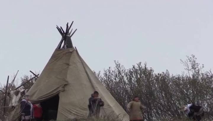 На Таймыре планируют развивать арктический туризм - vesti.ru - Красноярск