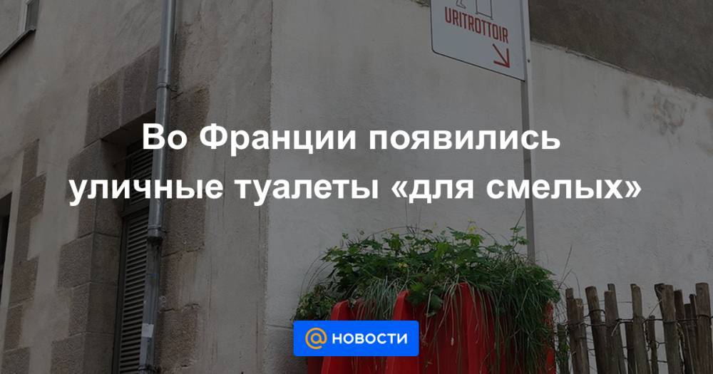 Во Франции появились уличные туалеты «для смелых» - news.mail.ru - Франция