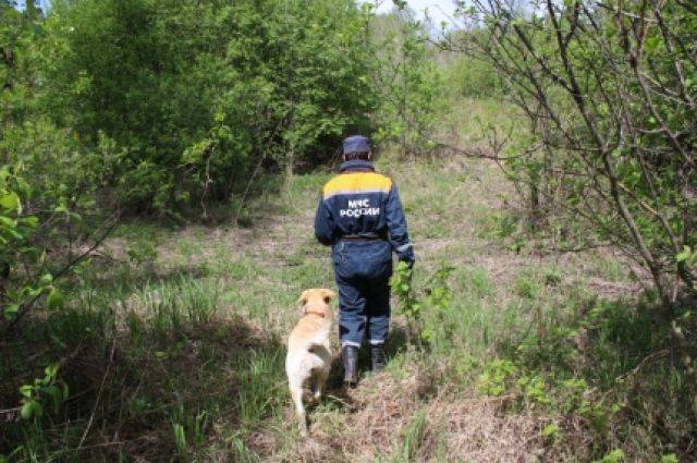 Найденный в Пермском крае 10-летний мальчик прошёл по тайге около 40 км - aif.ru - Пермский край