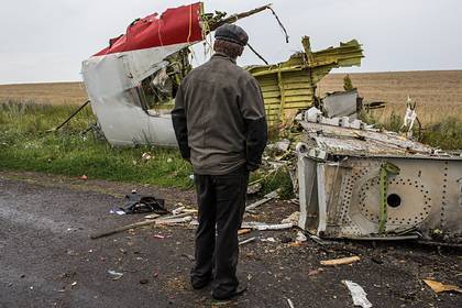Прокуратура Нидерландов назвала разные версии крушения Boeing MH17 - lenta.ru - Россия - Украина - Голландия