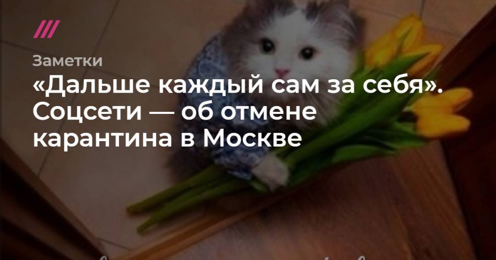 Сергей Собянин - «Дальше каждый сам за себя». Соцсети — об отмене карантина в Москве - tvrain.ru - Москва - Россия
