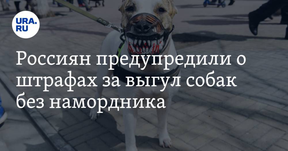 Россиян предупредили о штрафах за выгул собак без намордника - ura.news - Россия - Московская обл. - Челябинск