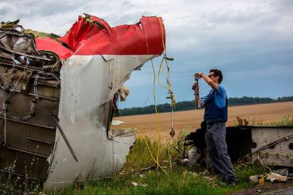 Тейс Бергер - Раскрыты результаты экспертизы тел членов экипажа Boeing MH17 - lenta.ru - Голландия - Гаага