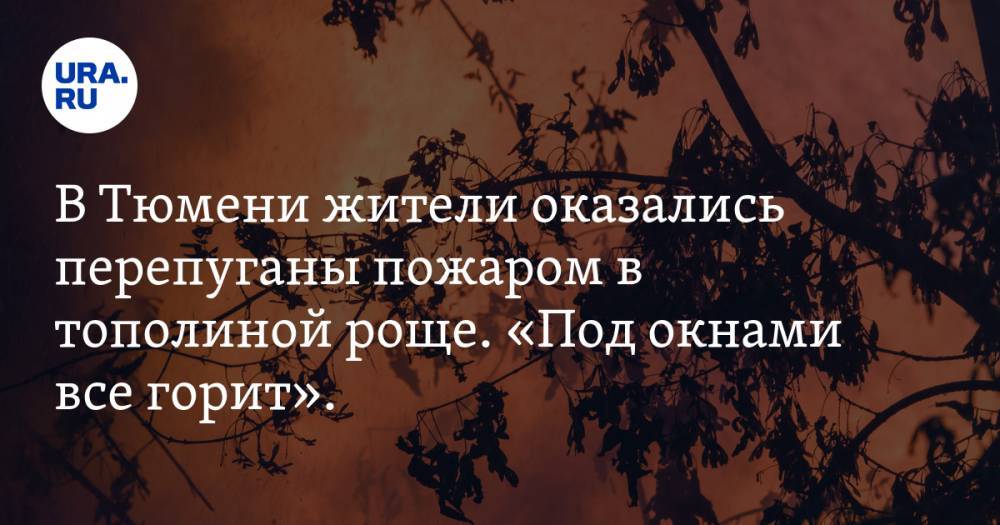 В Тюмени жители оказались перепуганы пожаром в тополиной роще. «Под окнами все горит». ВИДЕО - ura.news - Тюмень - Тюменская обл.