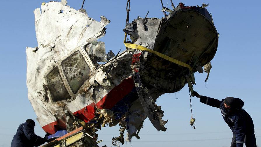 Тейс Бергер - В Нидерландах представили результаты анализа тел экипажа MH-17 - gazeta.ru - Голландия