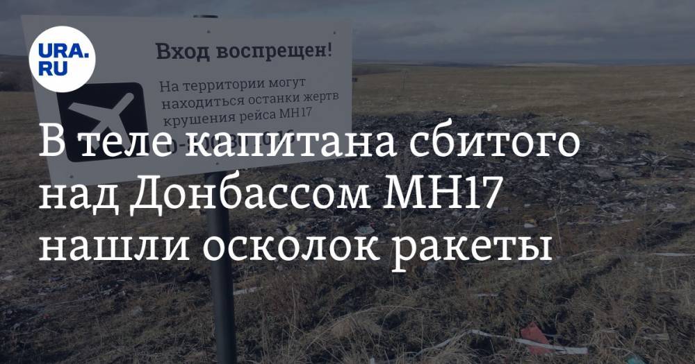 Тейс Бергер - В теле капитана сбитого над Донбассом MH17 нашли осколок ракеты - ura.news - Украина - Киев - Голландия - Куала-Лумпур - Амстердам