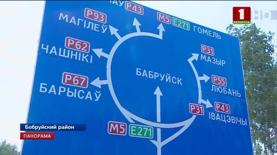 Владимир Королев - На участке гомельской трассы в пригороде Бобруйска случилось 6 аварий с дикими животными - tvr.by - Бобруйск