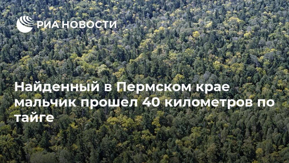 Найденный в Пермском крае мальчик прошел 40 километров по тайге - ria.ru - Пермь - Пермский край