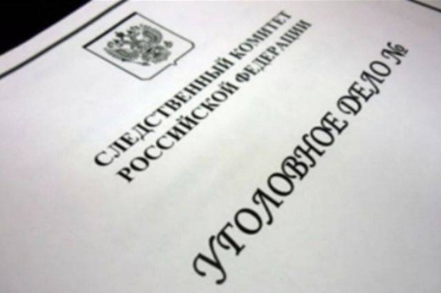 Хабаровчанка украла продукты из ресторана, чтобы прокормить собак - hab.aif.ru - Россия - Хабаровск - район Хабаровский