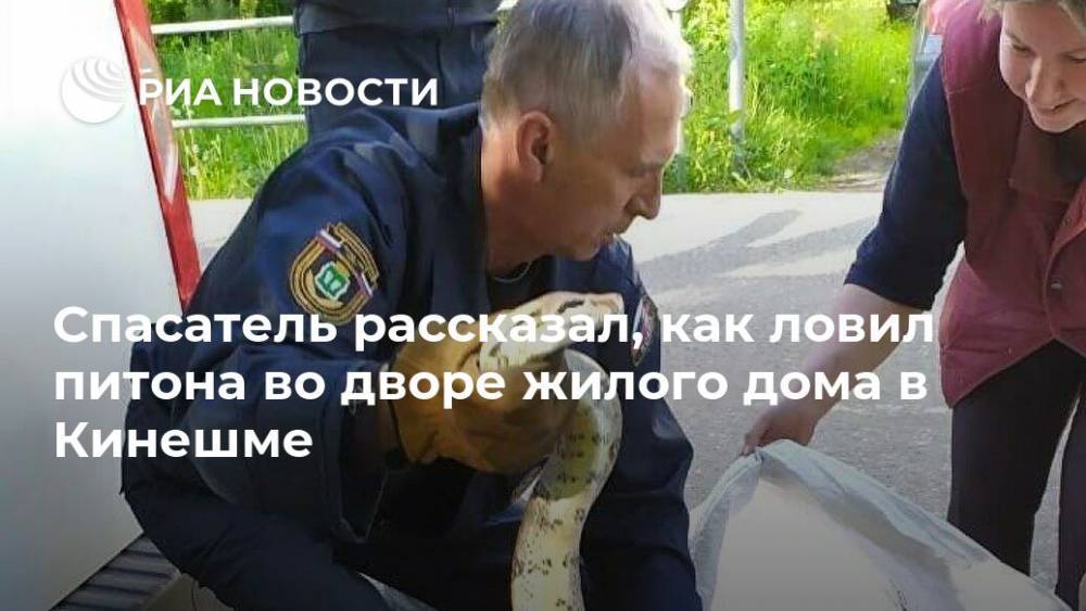 Андрей Иванов - Спасатель рассказал, как ловил питона во дворе жилого дома в Кинешме - ria.ru - Ярославль - Ивановская обл.