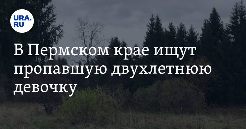 В Пермском крае ищут пропавшую двухлетнюю девочку - ura.news - Пермский край