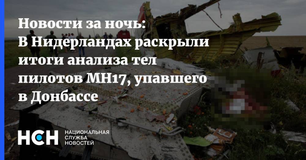 Тейс Бергер - Новости за ночь: В Нидерландах раскрыли итоги анализа тел пилотов MH17, упавшего в Донбассе - nsn.fm - Украина - Голландия