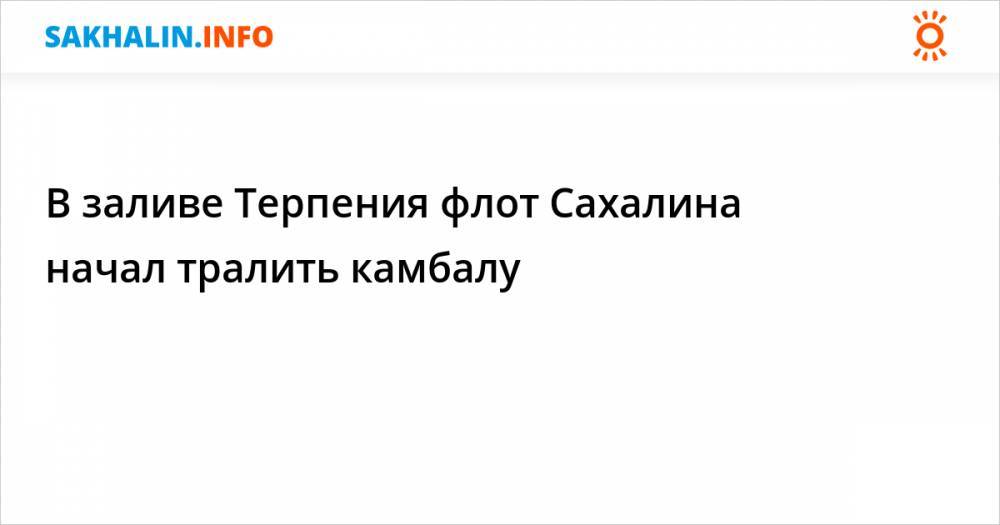 В заливе Терпения флот Сахалина начал тралить камбалу - sakhalin.info - Поронайск