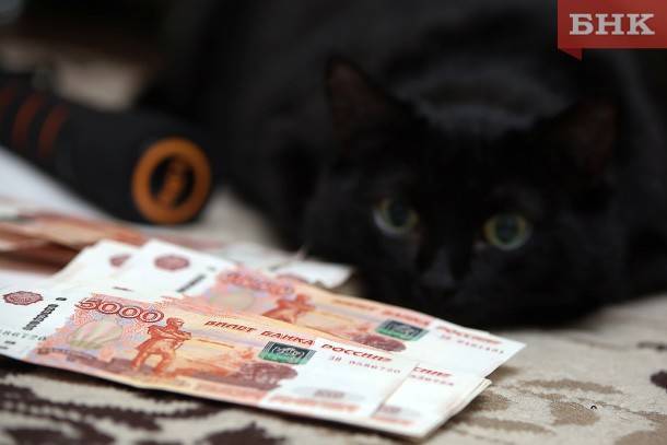 Виктор Бобыря - Воркутинка отдала полтора миллиона покупателю обуви - bnkomi.ru
