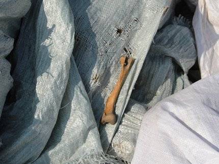 Житель Башкирии нашёл на участке два мешка с человеческими останками - ufatime.ru - Башкирия - район Караидельский