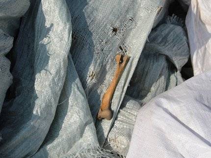 Житель Башкирии нашёл на участке два мешка с человеческими останками - ufatime.ru - Башкирия