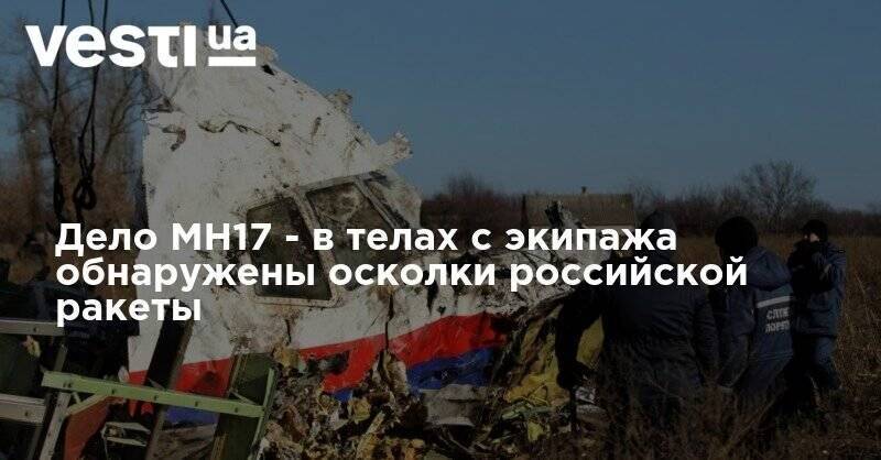 Дело МН17 - в телах с экипажа обнаружены осколки российской ракеты - vesti.ua - Украина - Донецк - Малайзия - Донецкая обл.