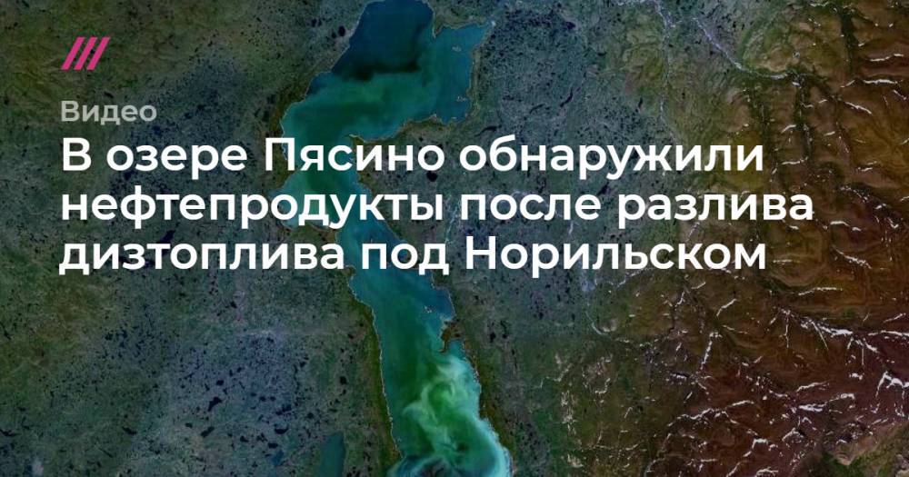 В озере Пясино обнаружили нефтепродукты после разлива дизтоплива под Норильском - tvrain.ru - Россия - Норильск