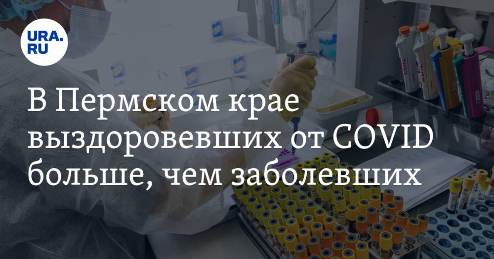 В Пермском крае выздоровевших от CОVID больше, чем заболевших - ura.news - Пермский край