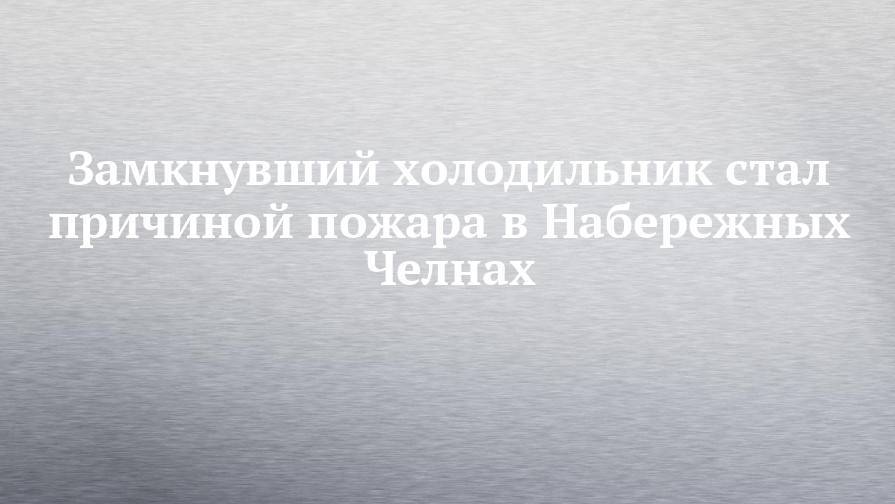 Замкнувший холодильник стал причиной пожара в Набережных Челнах - chelny-izvest.ru - Набережные Челны